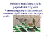 Direct3D transformacijos 20 puslapis