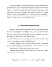 Poligrafinės spaudos išradimas. Referatas 3 puslapis