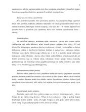 Poligrafinės spaudos išradimas. Referatas 5 puslapis
