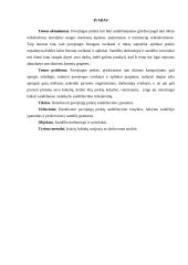 Pavojingų prekių sandėliavimo ypatumai 2 puslapis