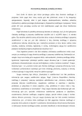 Pavojingų prekių sandėliavimo ypatumai 3 puslapis