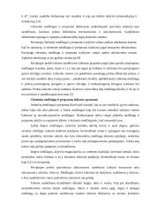 Pavojingų prekių sandėliavimo ypatumai 4 puslapis