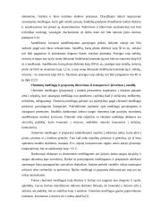 Pavojingų prekių sandėliavimo ypatumai 5 puslapis