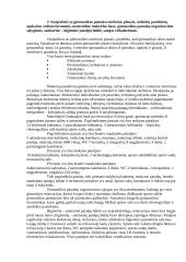 Pedagoginė praktika: gimnastika 2 puslapis