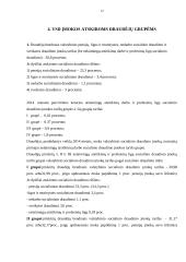 Mokesčių sistemos individualus praktinis darbas 12 puslapis