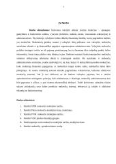 Mokesčių sistemos individualus praktinis darbas 3 puslapis