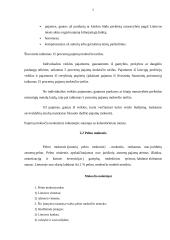 Mokesčių sistemos individualus praktinis darbas 5 puslapis