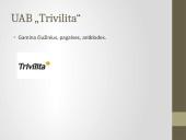 Pramoniniai tekstiliniai gaminiai  4 puslapis