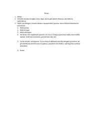 Kokias vertybes teigia Biblija? 2 puslapis