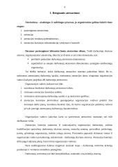 Personalo atestavimo organizavimas 4 puslapis