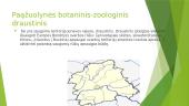 Paąžuolynės botaninis-zoologinis draustinis 3 puslapis