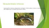 Paąžuolynės botaninis-zoologinis draustinis 5 puslapis