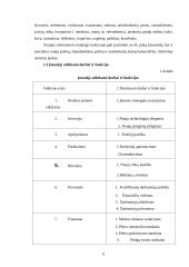 Personalo vadyba: ekologiškų maisto produktų prekyba UAB "Akva" 5 puslapis