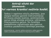 Henriko Radausko eilėraščio „Fontanas“ analizė 11 puslapis