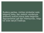 Henriko Radausko eilėraščio „Fontanas“ analizė 13 puslapis