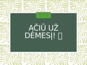 Henriko Radausko eilėraščio „Fontanas“ analizė 15 puslapis