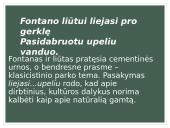 Henriko Radausko eilėraščio „Fontanas“ analizė 8 puslapis