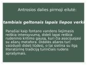 Henriko Radausko eilėraščio „Fontanas“ analizė 10 puslapis