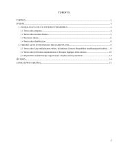 Teroro akto grėsmė ir jo įtvirtinimas reglamentuose 2 puslapis