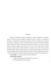 Teroro akto grėsmė ir jo įtvirtinimas reglamentuose 3 puslapis