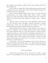 Teroro akto grėsmė ir jo įtvirtinimas reglamentuose 8 puslapis