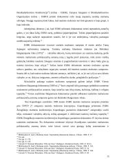 Tautinių mažumų teisės 15 puslapis