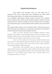 Personalo valdymo įvertinimas: Kauno apskrities vaikų socializacijos centras 3 puslapis