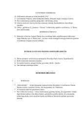 Antanas Škėma (1910-1961) ir XX a. vidurio katastrofų literatūra 2 puslapis