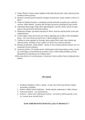 Antanas Škėma (1910-1961) ir XX a. vidurio katastrofų literatūra 11 puslapis