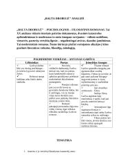 Antanas Škėma (1910-1961) ir XX a. vidurio katastrofų literatūra 5 puslapis