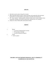 Antanas Škėma (1910-1961) ir XX a. vidurio katastrofų literatūra 7 puslapis