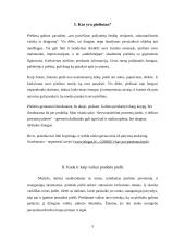 Piešimas ikimokykliniame amžiuje 2 puslapis