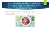 Įdomiai patiekiamos jūrų gėrybės ir išradingai papuošti bei patiekti jūrų gėrybių patiekalai 2 puslapis