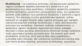 Senėjimas ir senėjimo problemos 17 puslapis