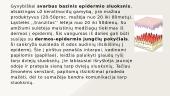 Senėjimas ir senėjimo problemos 6 puslapis