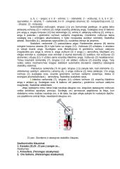 Pneumatinės stabdžių pavaros sandara ir veikimas 12 puslapis