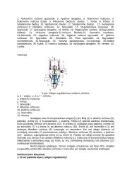 Pneumatinės stabdžių pavaros sandara ir veikimas 3 puslapis