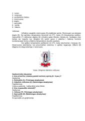 Pneumatinės stabdžių pavaros sandara ir veikimas 5 puslapis