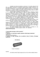 Pneumatinės stabdžių pavaros sandara ir veikimas 7 puslapis