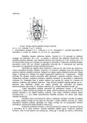 Pneumatinės stabdžių pavaros sandara ir veikimas 9 puslapis