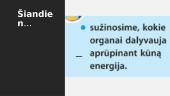 Energija reikalingai žmogui 2 puslapis