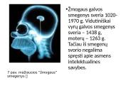 Smegenys – valdymo centras 11 puslapis