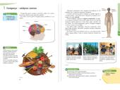 Smegenys – valdymo centras 13 puslapis
