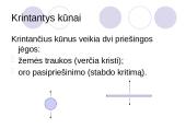 Judėjimas ir jėga 19 puslapis
