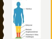 Ką gauname su maistu? 2 puslapis