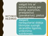 Ką gauname su maistu? 10 puslapis