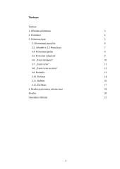 Pobūvių rūšys ir etiketas 2 puslapis