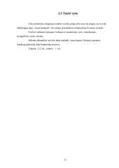 Pobūvių rūšys ir etiketas 11 puslapis