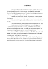 Pobūvių rūšys ir etiketas 13 puslapis