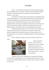 Pobūvių rūšys ir etiketas 14 puslapis